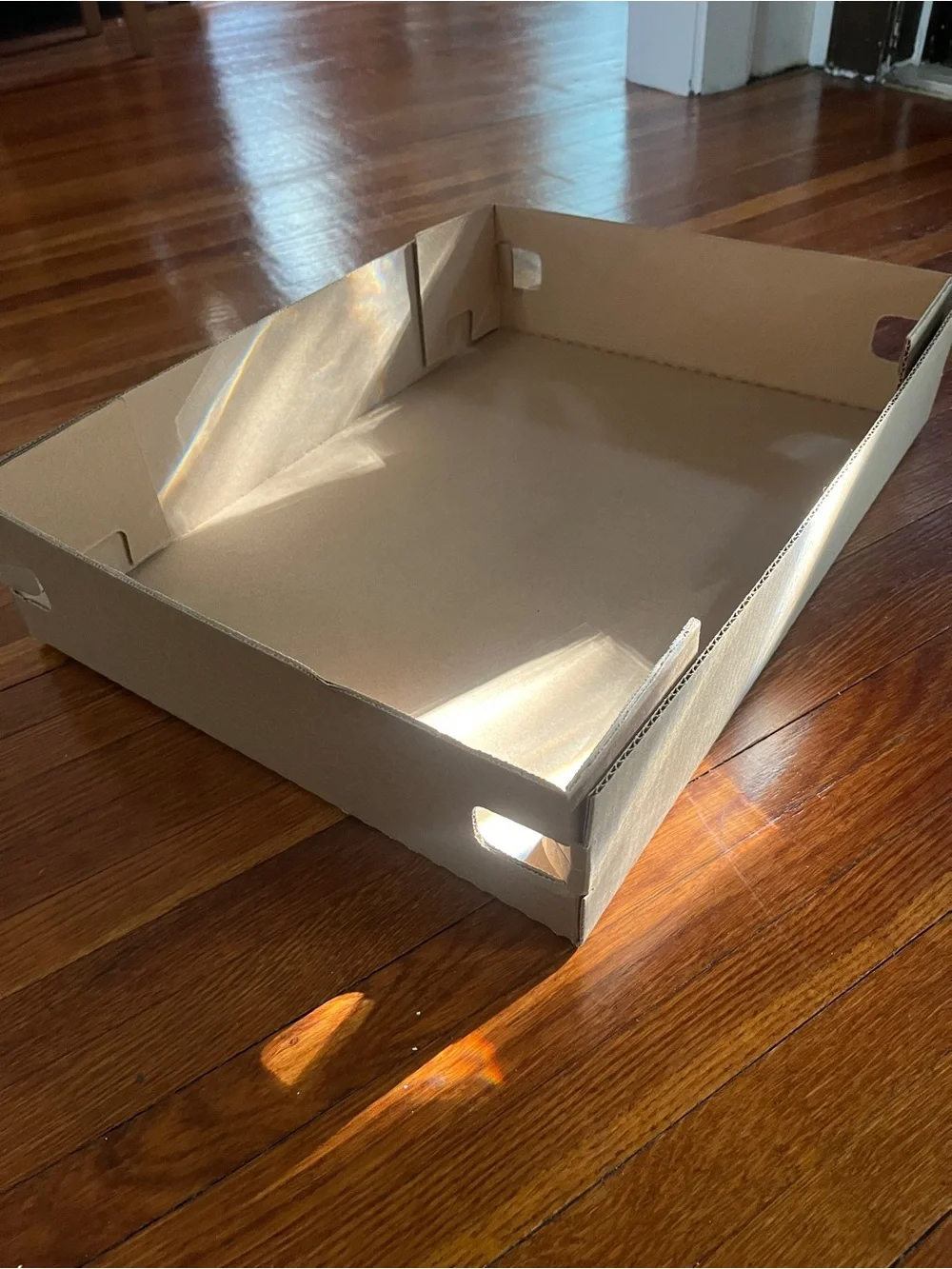 20” x 15” x 4” sturdy cardboard trays 20 ct